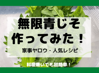 無限青じそ 作ってみた
